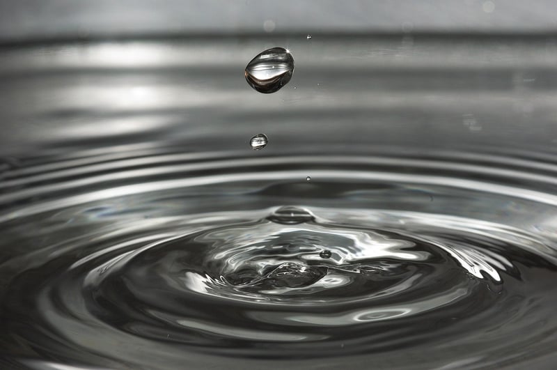 Meditation and Mindfulness